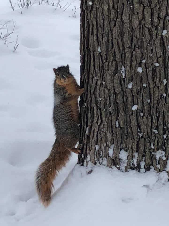 Did somebody say 'snow day?'